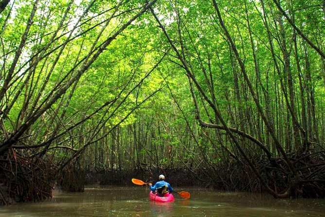Deep Mangrove and Canyon Kayak Tour in Krabi - Key points to know before booking