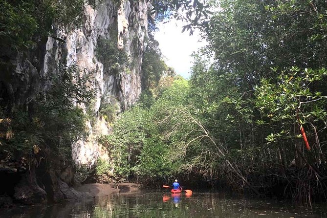 Deep Mangrove and Canyon Kayak Tour in Krabi - Why this Krabi kayak trip feels different