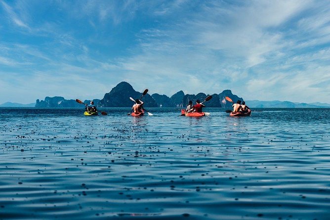 Deep Mangrove and Canyon Kayak Tour in Krabi - The mangrove channels and possible wildlife