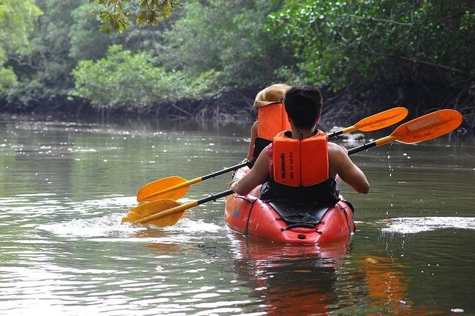 Deep Mangrove and Canyon Kayak Tour in Krabi - How strenuous is two hours of kayaking?