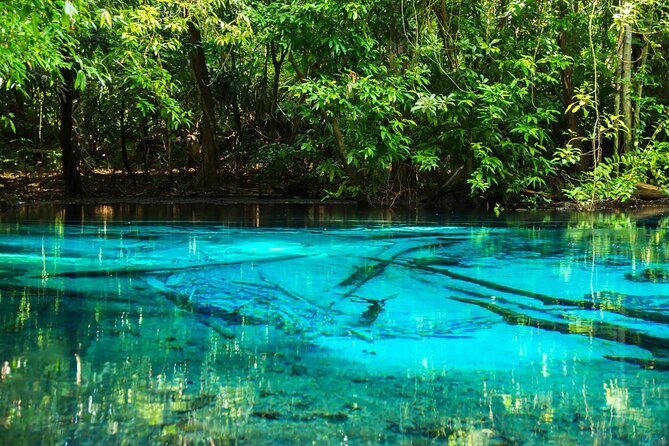 Discover Krabi - Emerald Pool, Hot Springs & Tiger Cave Temple - Key points to know before you go