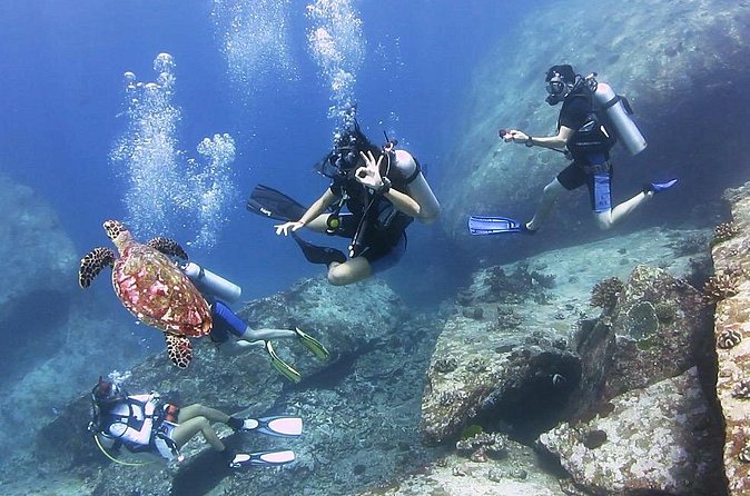 Discover Scuba Diving in Koh Lanta, Thailand - Who Will Get the Most From This Trip