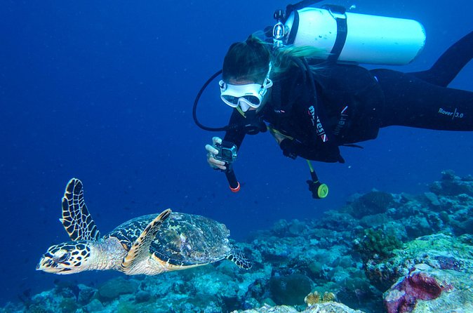 Discover Scuba Diving in Koh Lanta, Thailand - Practical Booking Notes for Koh Lanta