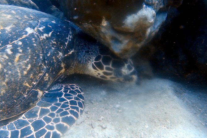 Discover Scuba Diving, try dive for beginners ( Start at Ko Kut) - Is the $179.24 Price Good Value?