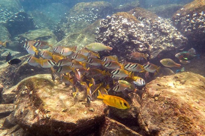 Discover Scuba Diving, try dive for beginners ( Start at Ko Kut) - Weather and Physical Requirements