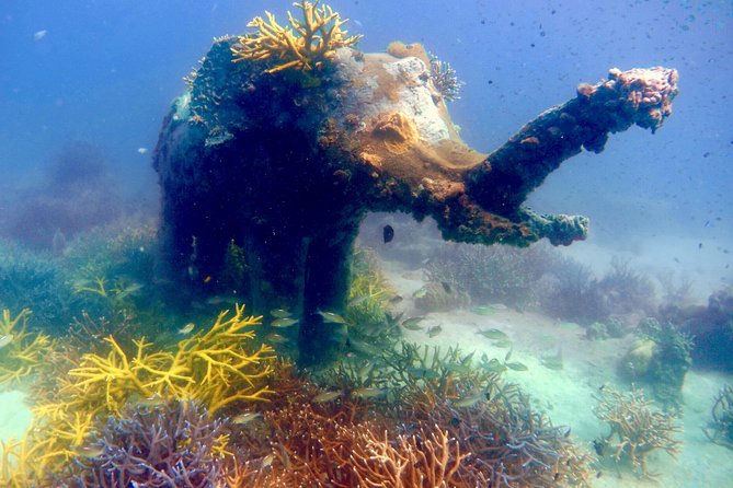 Discover Scuba Diving, try dive for beginners ( Start at Ko Kut) - Starting at Bang Bao Beach