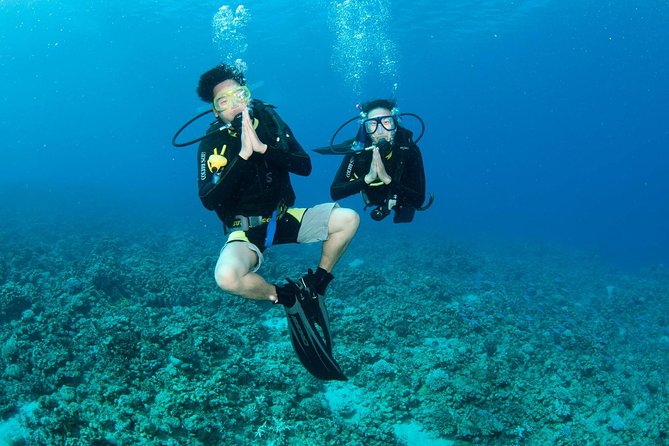 Discover Scuba diving, try diving for beginners (starts from Koh Chang) - Trying the equipment before leaving shore