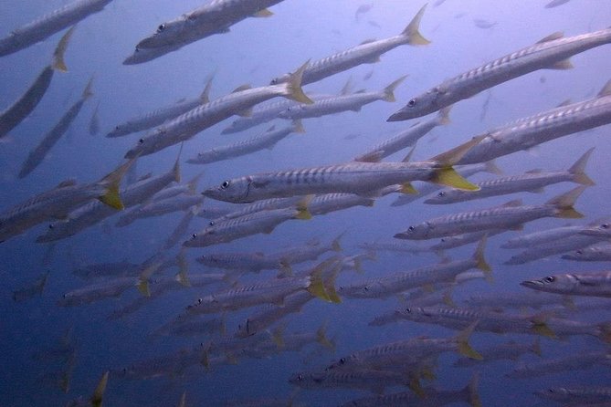 Discover SCUBA Diving - The first boat session around Ko Lipe