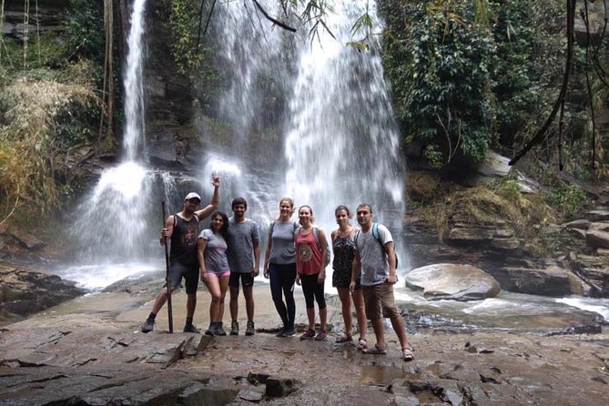 Doi Inthanon Day Trip:Twin Pagodas,Soft Hiking,Coffee Plantation - The coffee question: tasting table or plantation tour?