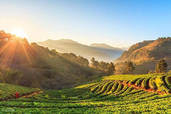 Doi Inthanon Discovery Tour: Waterfalls, Villages & Highest Peak - A short break at the Hmong hill market