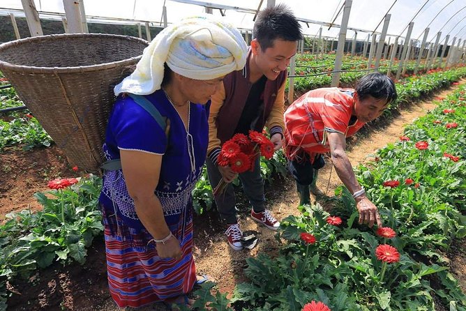 Doi Inthanon Discovery Tour: Waterfalls, Villages & Highest Peak - Reaching Inthanon Mountain at 2,565 meters
