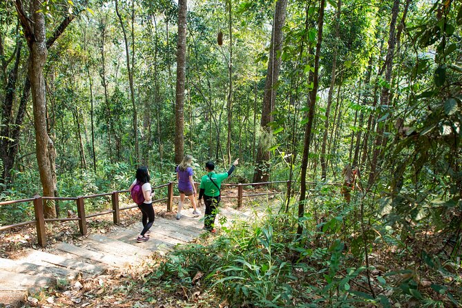 Doi Inthanon National Park Eco-Friendly Full Day Tour - A quiet hour on the Ang Ka Nature Trail