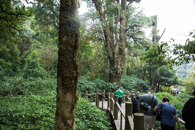 Doi Inthanon National Park Eco-Friendly Full Day Tour - Wachirathan Falls brings the big finish