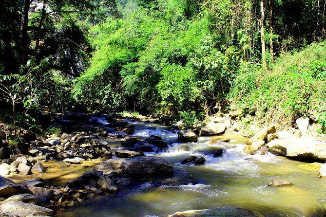 Doi Inthanon National Park, Waterfall & Royal Project Day Tour From Chiang Mai - The King and Queen Chedis above the clouds