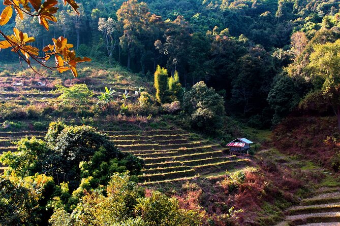 Doi Inthanon National Park, Waterfall & Royal Project Day Tour From Chiang Mai - Lunch, transport, and the rhythm of the day