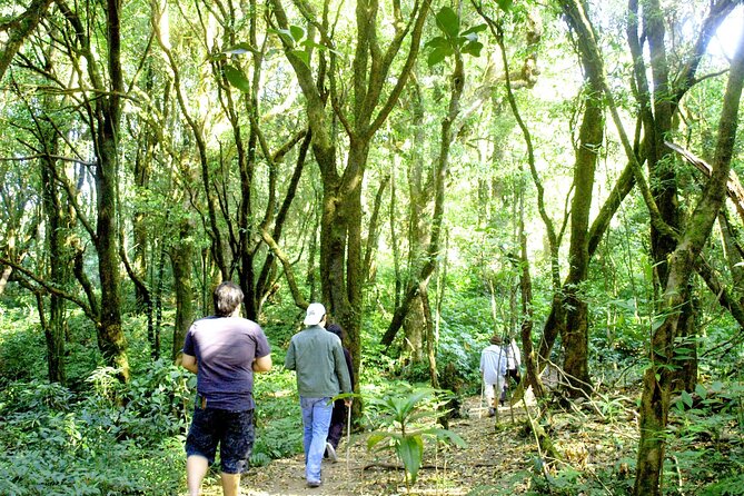 Doi Inthanon National Park, Waterfall & Royal Project Day Tour From Chiang Mai - The mountain road to Thailand’s highest point