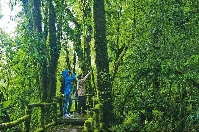 Doi Inthanon Waterfall and Royal Project Chiang Mai - Karen village and Hmong market add human context