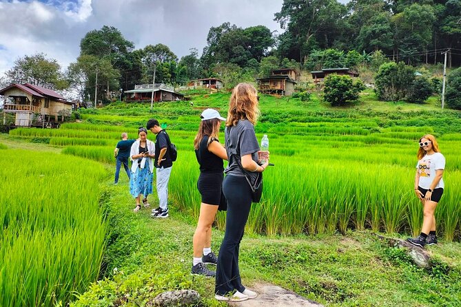 Doi Inthanon Waterfall and Royal Project Chiang Mai - Lunch is simple, included, and useful