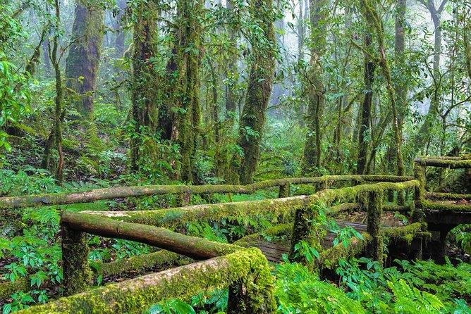 Doi Inthanon Waterfall and Royal Project Chiang Mai - What the $50.10 price really covers