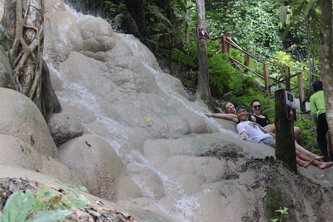 Doi Suthep Temple, Pha Lat Temple, Sticky Waterfall, Orchid farm - Orchid and Butterfly Farm: a softer middle stop