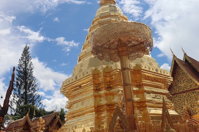Doi Suthep Temple, Pha Lat Temple, Sticky Waterfall, Orchid farm - Who should book this Chiang Mai outing?