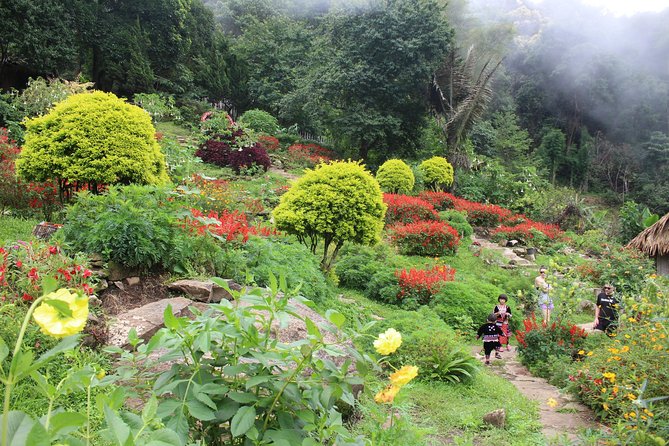 DON'T miss It ! Doi suthep temple+ Hmong village - What makes Wat Phra That Doi Suthep special