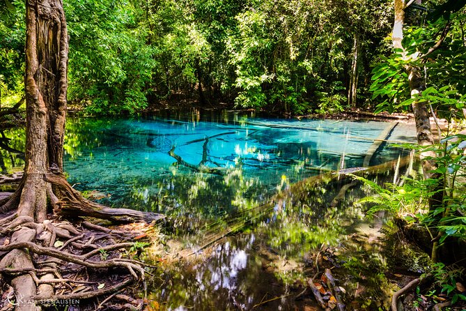 ECO Premium Jungle Hot Springs and Temple Tour - Who should book this experience