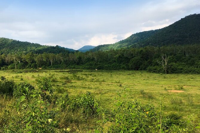 Elephant and Animal Watching in Kuiburi National Park - Join Afternoon Tour - Why Kuiburi is worth the long ride from Hua Hin