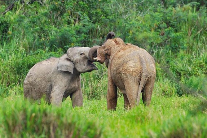 Elephant and Wildlife Watching in Kuiburi National Park - Private Afternoon Tour - The drive from Hua Hin to Kuiburi