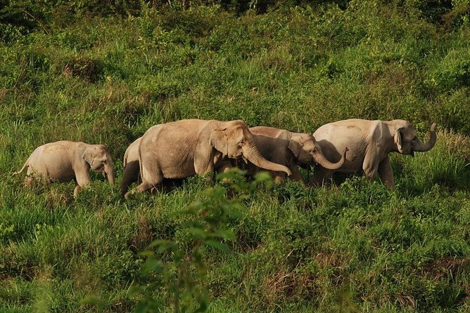 Elephant and Wildlife Watching in Kuiburi National Park - Private Afternoon Tour - Changing vehicles at the Kuiburi Visitor Center