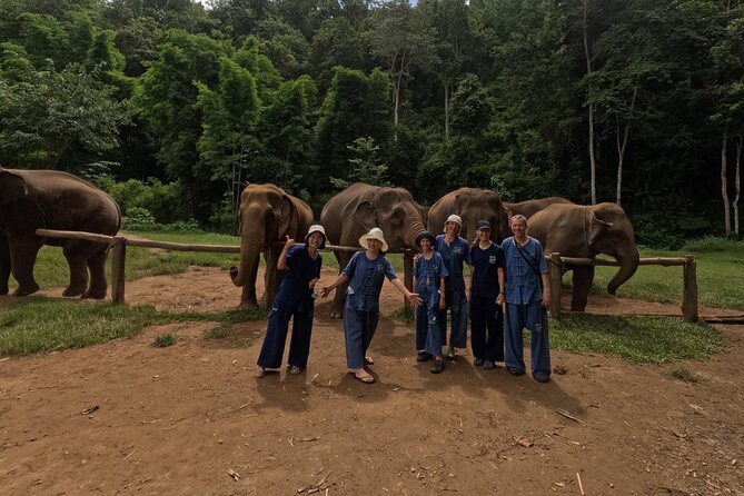 Elephant care program at CHIANGMAI ELEPHANT CARE - What the small group changes