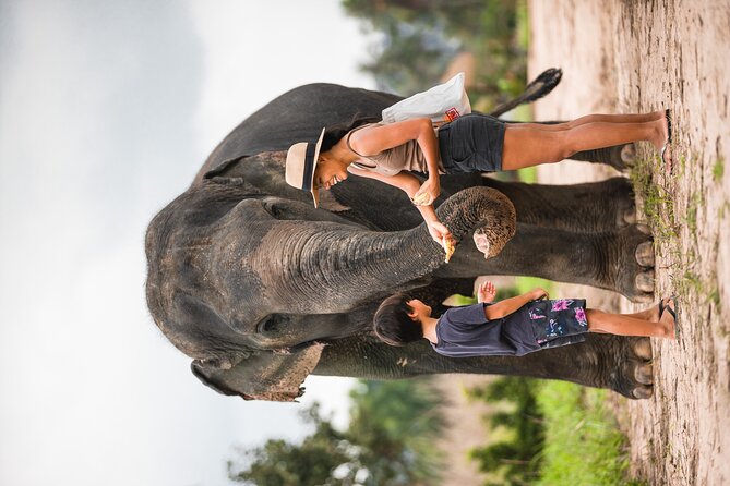 Elephant Jungle Sanctuary: Half Day Morning Program - Why this Pattaya elephant program feels different
