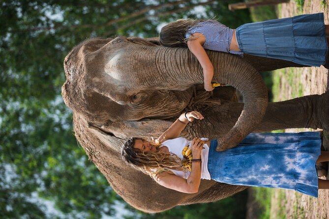 Elephant Jungle Sanctuary: Half Day Morning Program - Meeting the elephants and learning how the camp works