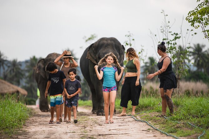 Elephant Jungle Sanctuary: Half Day Morning Program - Feeding the elephants and preparing their vitamins
