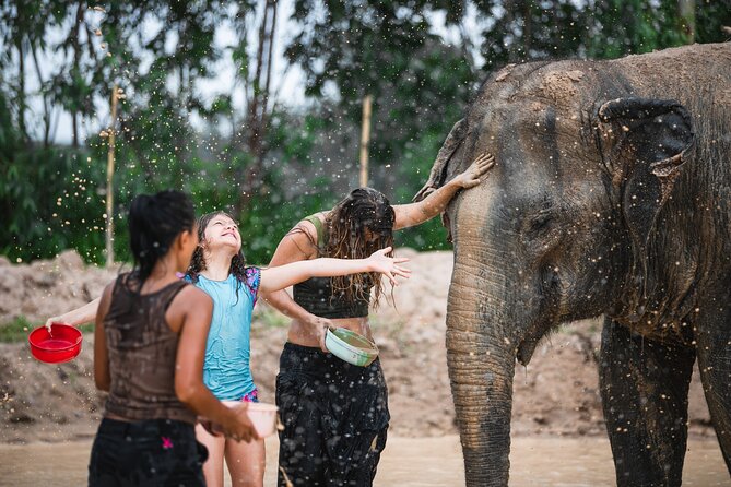 Elephant Jungle Sanctuary: Half Day Morning Program - Mud, water, and the bathing session