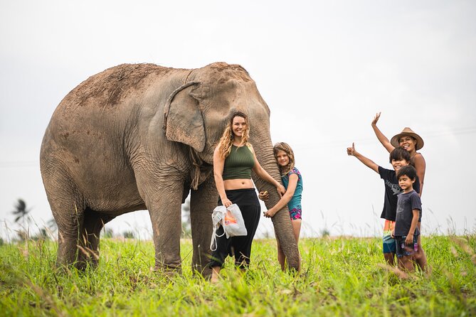 Elephant Jungle Sanctuary: Half Day Morning Program - Elephant poo paper and the final part of the morning