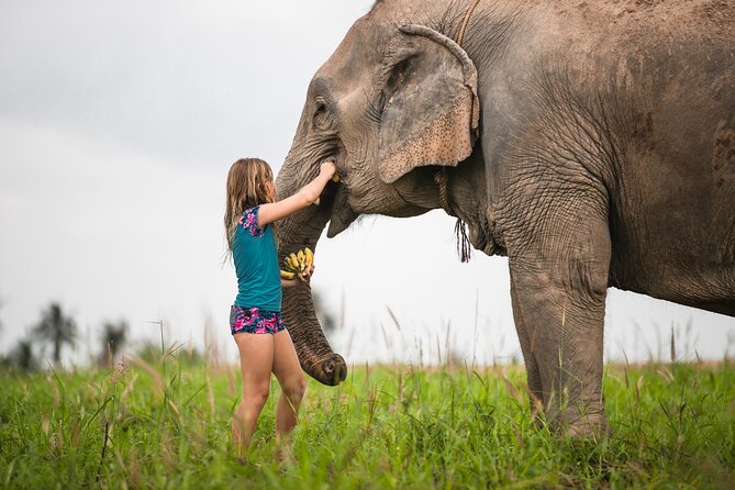 Elephant Jungle Sanctuary: Half Day Morning Program - Is $94.53 good value?