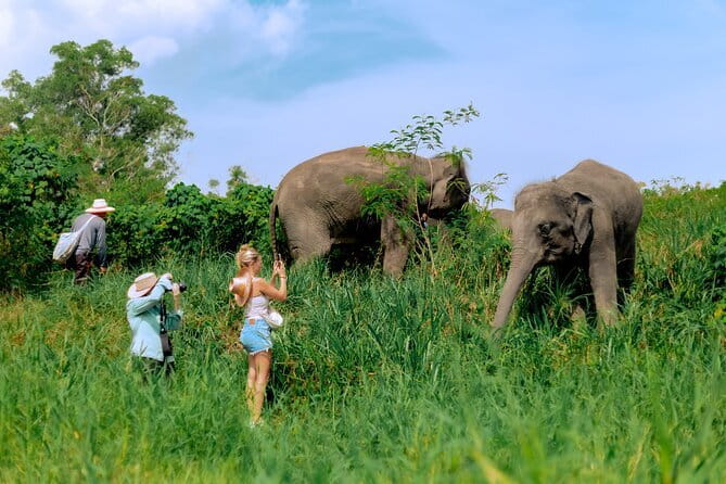 Elephant Nature Experience with Lunch at Bukit Elephant Park - What the $87.61 price covers