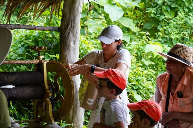 Elephant Nature Experience with Lunch at Bukit Elephant Park - Feeding elephants without turning them into a photo prop