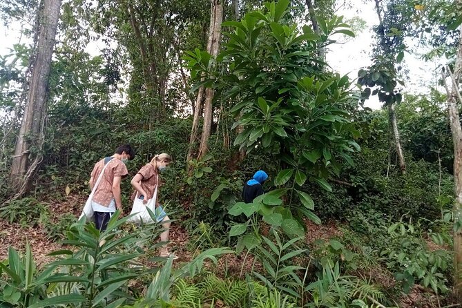 Elephant Sanctuary Small Group Tour in Phuket - Quick reasons to consider this Phuket elephant tour
