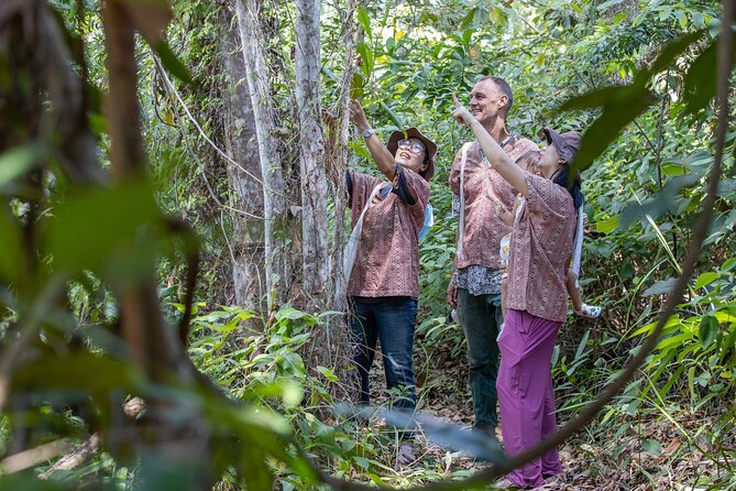 Elephant Sanctuary Small Group Tour in Phuket - A forest walk with some serious hills