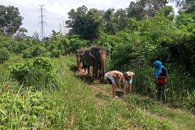 Elephant Sanctuary Small Group Tour in Phuket - Lunch and the final part of the outing