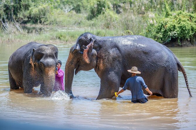Elephant Sanctuary Small Group Tour in Phuket - Who will enjoy this most?