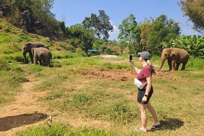 Elephant Sanctuary, Wat Ban Den & Sticky Waterfall - Who should book this day?