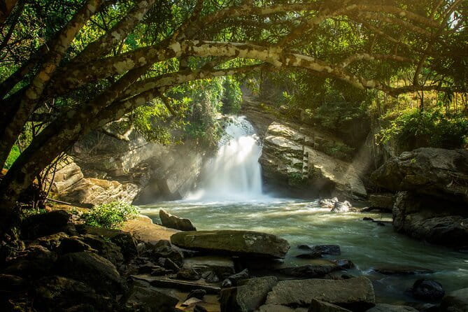 Elephant Sanctuary + Waterfall + Bamboo Rafting One Day Trip - Leaving Chiang Mai for Mae Wang