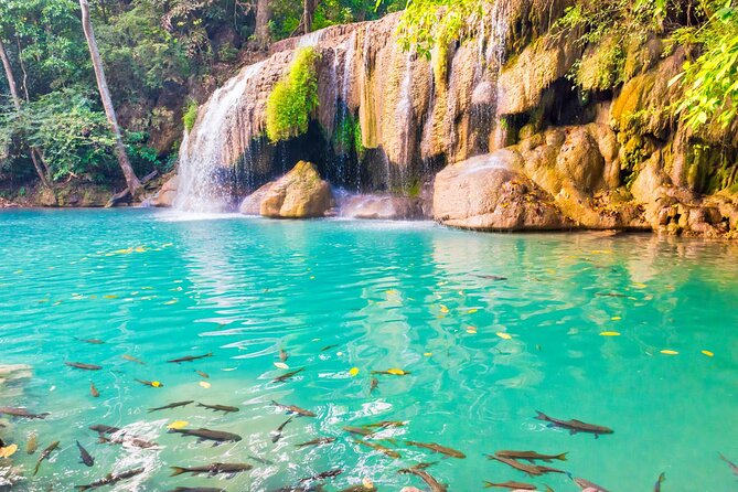 Erawan Waterfall and Elephant Care: Private Tour to Kanchanabur - Guides Can Shape the Whole Day