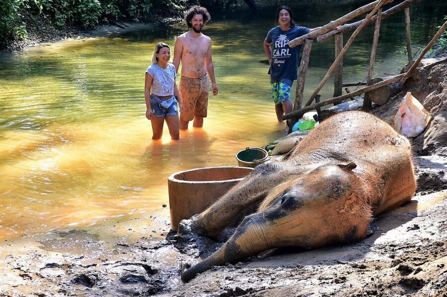 Ethical Elephant Sanctuary Experience in Khao Lak - Who will enjoy this three-hour experience