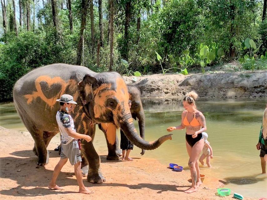 Ethical Elephant Sanctuary Experience in Khao Lak - Why this Khao Lak elephant visit feels different