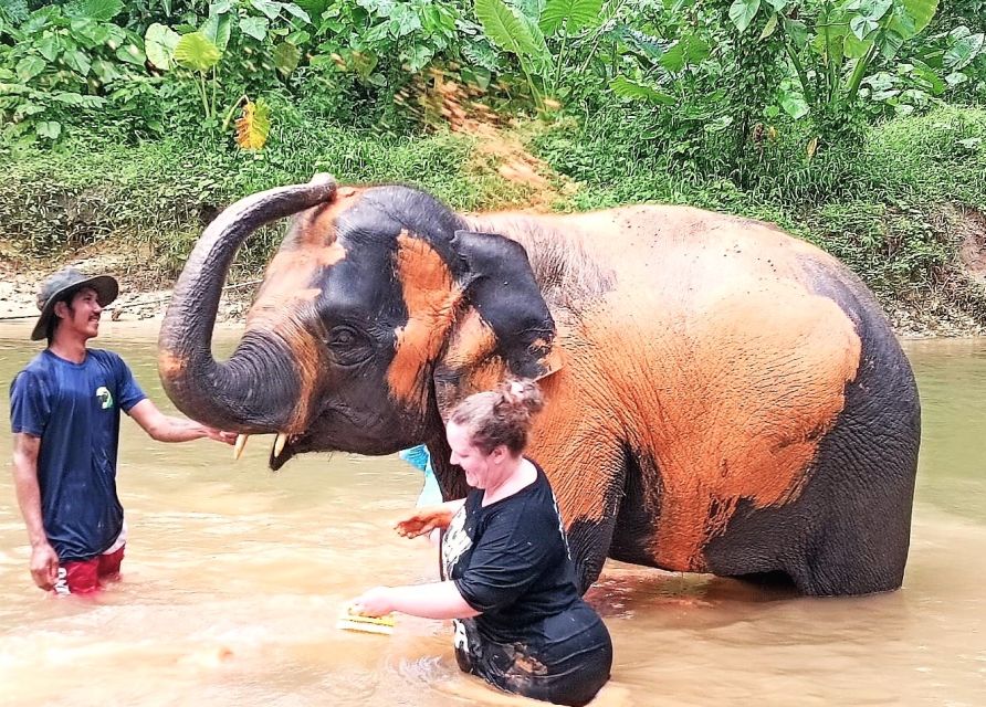 Ethical Elephant Sanctuary Experience in Khao Lak - Preparing an herbal supplement for the elephants