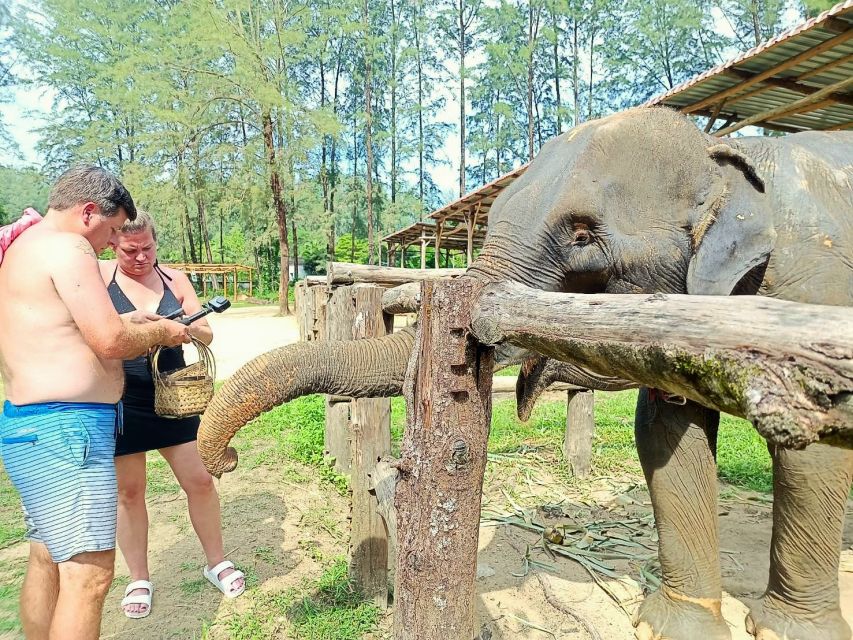 Ethical Elephant Sanctuary Experience in Khao Lak - Following the elephants on an observation walk